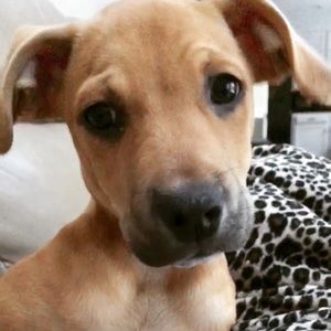 Meet your Posher, Ali